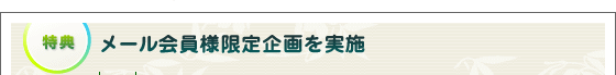 メール会員限定企画を実施