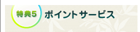 ŵ5 ݥȥӥ
